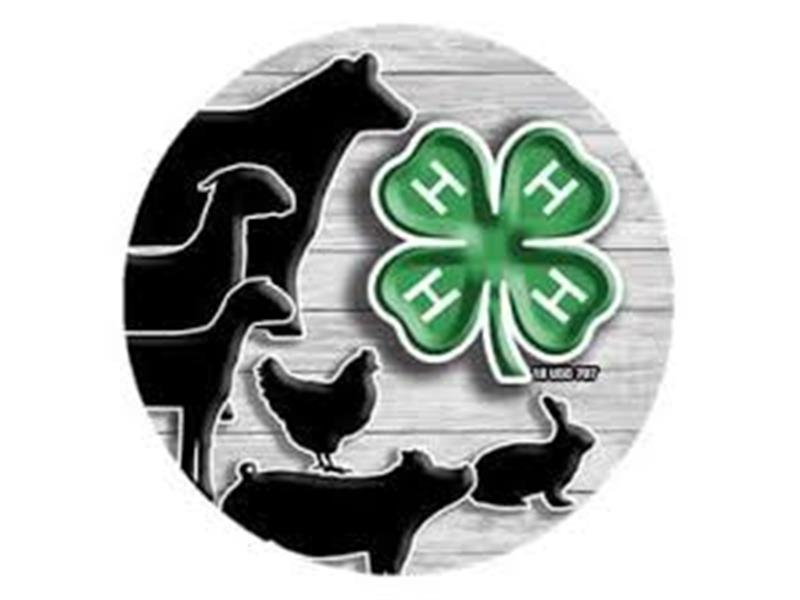 Logo for 2026 Butler County Fair