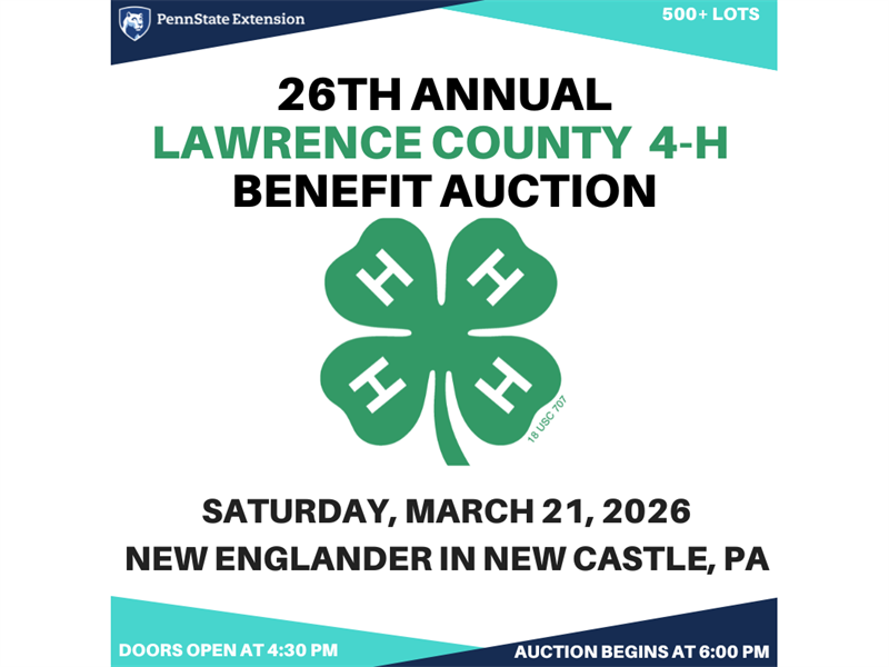 Logo for 26th Annual Lawrence County 4-H Benefit Auction